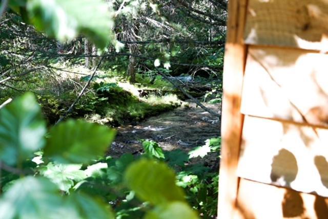 Hope Alaska'S Bear Creek Lodge Exterior foto